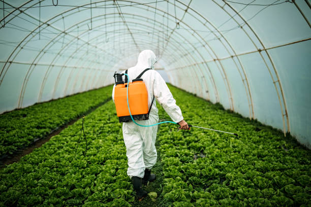 Best Pest Prevention Services  in Central City, IA
