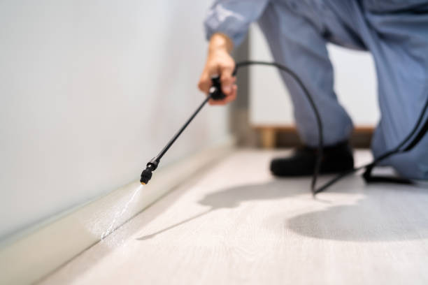 Best Flea Control Services  in Central City, IA