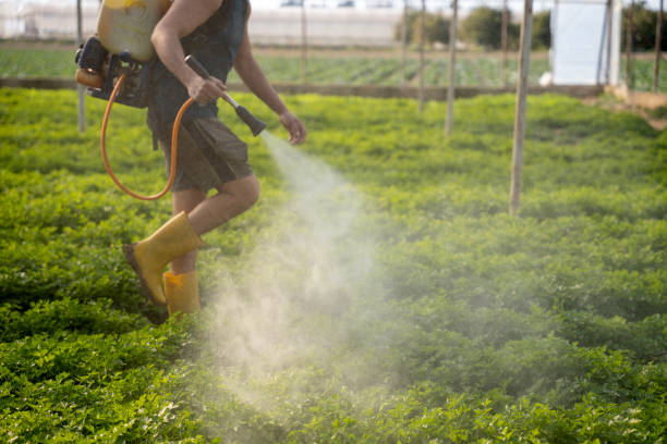 Best Affordable Pest Control Services  in Central City, IA