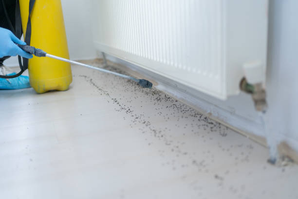 Best Emergency Pest Control  in Central City, IA