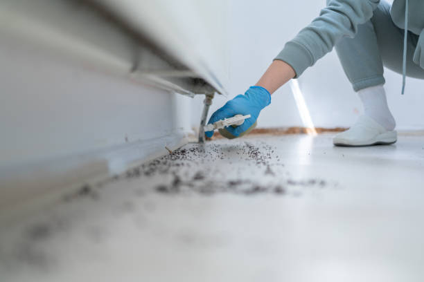 Best Wildlife Control Services  in Central City, IA